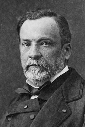 Louis Pasteur (1822-1895) Rosalind Franklin, Michael Faraday, Louis Pasteur, Famous Scientist, Charles Darwin, Medical History, Microbiology, Judo, Role Models