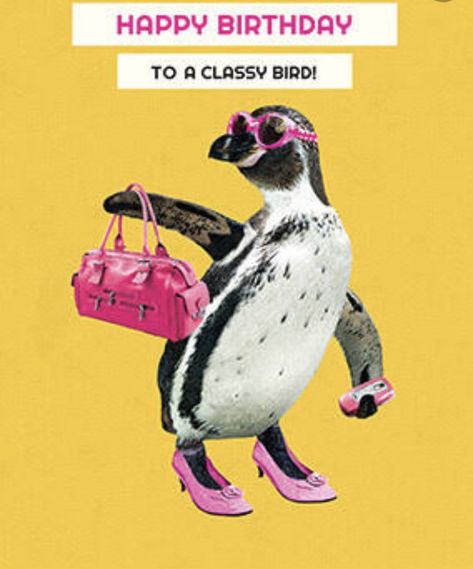 Funny Birthday Card Messages, Back To Yourself, Happy Bird Day, Funny Penguin, Penguin Birthday, Birthday Card Messages, Penguins Funny, Disney Cards, Card Messages