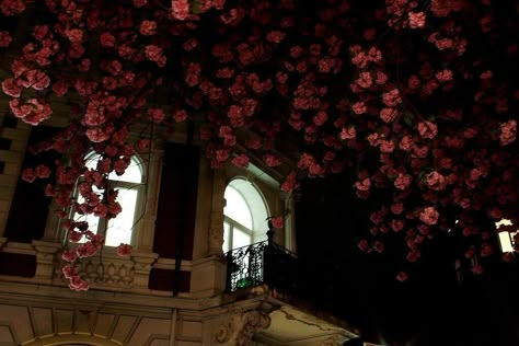 Juliet Capulet, Revolutionary Girl Utena, Nothing But Flowers, Laptop Wallpaper, Red Aesthetic, Romeo And Juliet, Greek Gods, Underworld, Aesthetic Photo