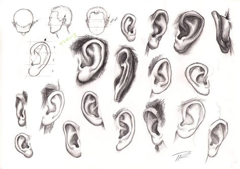 Ear Illustration, Ear Drawing, Ear Structure, Ear Anatomy, How To Draw Ears, Express Emotions, Life Sketch, Art Eras, Easy To Draw