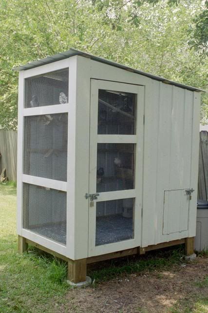 Raising Pigeons/Pigeon Coop Quail House, Racing Pigeon Lofts, Pigeon Loft Design, Quail Coop, Pigeon Cage, Pigeon House, Raising Quail, Homing Pigeons, Pigeon Loft