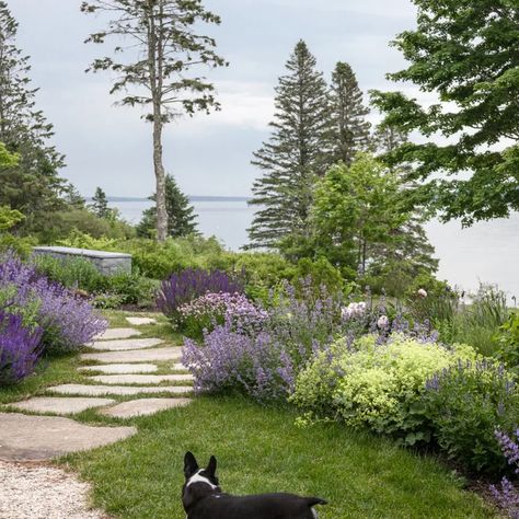 East Coast Landscaping, Costal Front Yard Landscaping, Maryland Landscaping Ideas, Nantucket Landscaping Ideas, Nc Landscaping Ideas, East Coast Landscaping Ideas, Lake House Garden Landscaping, Pnw Yard Landscaping, Maine Landscaping Ideas