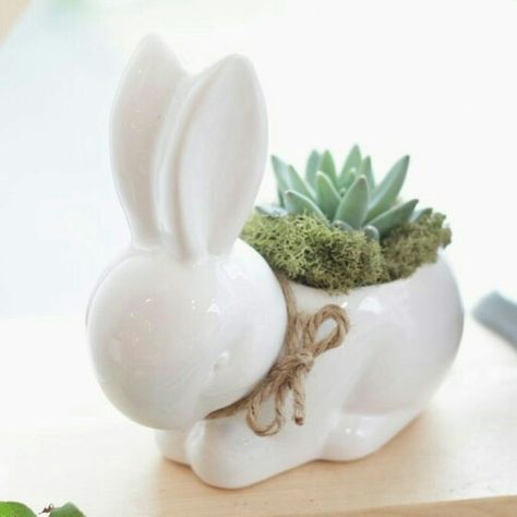 Bunny Succulent, Bunny Pot, Bunny Planter, Bunny Ceramic, Pottery Pinch Pot, Pottery Plant Pot, Easter Illustration, Plastic Bottle Art, Beginner Pottery