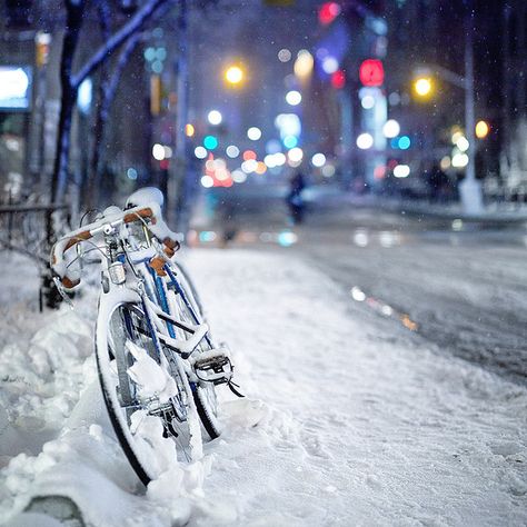 blurry. winter. street. nightlight. Winter Biking, Walking In A Winter Wonderland, I Want To Ride My Bicycle, I Love Winter, Seasons Winter, Love Winter, Winter Love, Winter Magic, Snow Ice