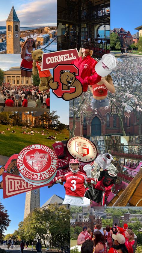 Cornell College, University Inspiration, Dream Collage, College Motivation, Vision Board Wallpaper, Dream Vision Board, College Aesthetic, Dream College, Cornell University