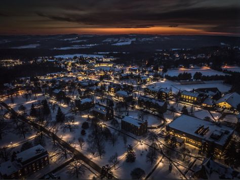 Hamilton College