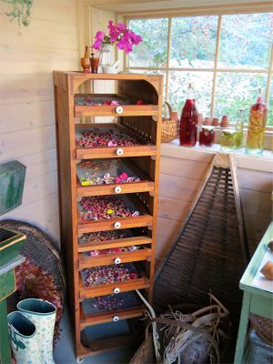 Flower Drying Rack, Flower Drying, Herb Diy, Herb Drying, Herb Gardening, Herbal Apothecary, Potting Shed, Tea Garden, Kitchen Witch