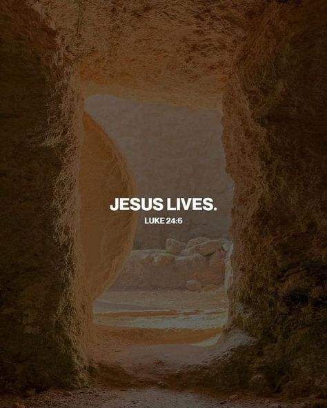 #ItsTrue; ... "He is not here, but is risen." The “Good News” is that because of His Atonement and Resurrection, leaving the tomb behind, we can also leave our past behind! #BecauseHeLives we, too, can know “peace in this world, and eternal life in the world to come.” 'He is risen! He is risen! Tell it out with joyful voice. He has burst His three days’ prison; let the whole wide earth rejoice.' God be thanked for the matchless gift of His divine Son! Learn more facebook.com/LordJesusChristpage. He Is Not Here He Is Risen Jesus Christ, He’s Risen, He Is Not Here For He Has Risen Quotes, He Is Risen Wallpaper Aesthetic, He Is Risen Aesthetic, The World To Come, Craig Groeschel, Jesus Has Risen, Rise Quotes