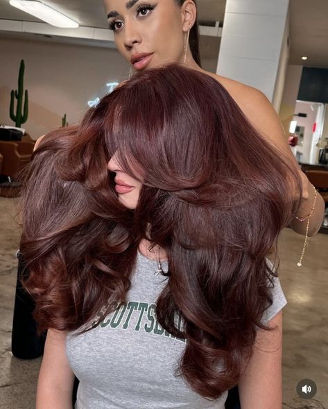 Dark Cherry Brown Hair Curly, Raspberry Chocolate Hair Color, Chocolate Brown Reddish Hair, Cherry Auburn Hair, Mocha Red Hair, Cabello Chocolate Cherry, How To Choose Hair Color, Deep Winter Color Palette Hair, Dark Natural Red Hair