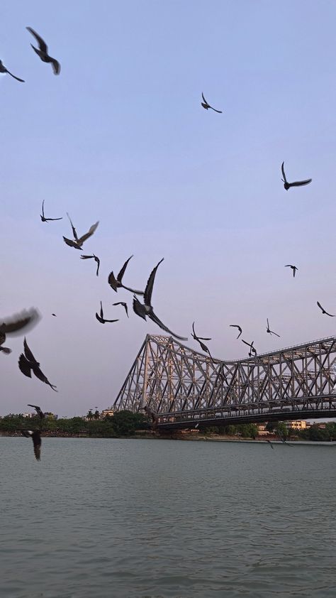 Howrah bridge
Howrah
Kolkata
Bridge Howrah Bridge Aesthetic, North Kolkata Aesthetic Photography, Kolkata Aesthetic Wallpaper, Howrah Bridge Kolkata Photography, Kolkata Aesthetic Video, Kolkata Aesthetic Photography, Kolkata Architecture, Kolkata Snap, Old Kolkata