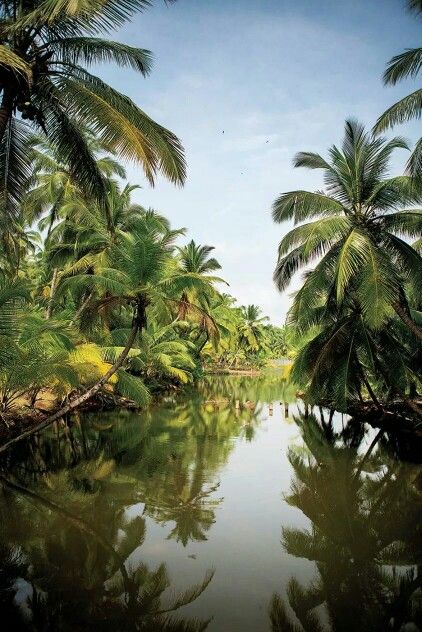 Tranquil Beauty.......... Honeymoon Photography, Kerala Backwaters, Kerala Travel, India Photo, Destination Travel, Amazing India, India Book, Kerala Tourism, Munnar