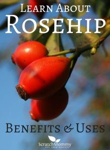 Rosehip Benefits, Rose Hips Benefits, Tomato Nutrition, Calendula Benefits, Lemon Benefits, Coconut Health Benefits, Benefits Of Coconut Oil, Healthy Oils, Back To Nature