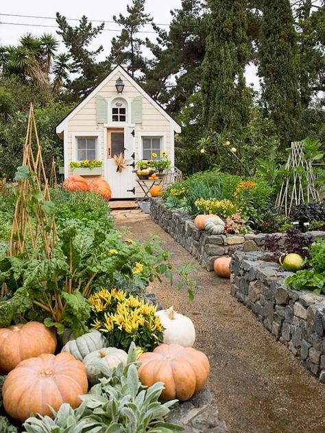 Wine Box Garden, Diy Garden Bar, Cinder Block Garden, Garden Boxes Diy, Potager Garden, Garden Solutions, Vegetable Garden Design, Garden Boxes, Seed Packets