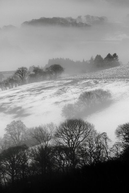 In the Bleak Midwinter | Flickr - Photo Sharing! Bleak Midwinter, Jamaica Inn, North York Moors, Enjoy The Silence, Winter Illustration, Christmas Poems, Gothic Horror, Adventures In Wonderland, Winter Trees