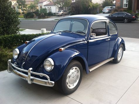 Just what we like to see here at 1967beetle.com; L633 VW Blue in all of its glory. This one will surely go fast. I’ve seen this car personally, and know the amount of detail that has gone into the restoration. Vw Sedan, Classic Volkswagen, Volkswagen Bug, Vw Beetle Classic, Vintage Volkswagen, Class 11, Vw Vintage, Vw Bugs, Volkswagen Car