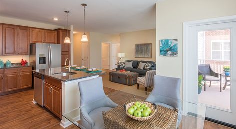 Vibrant Senior Living | Erickson Living Senior Living Interior Design, Living Interior Design, Affordable Apartments, Living Interior, Professional Landscaping, Recycle Trash, Senior Living, Home Repairs, Resort Style