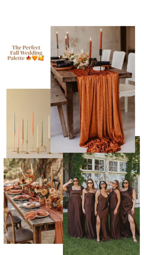 Fall color palette and ideas to use at a fall wedding Fall Color Palettes, Fall Wedding Color Palette, Gold Glam, Wedding Palette, Fall Color Palette, Fall Wedding Colors, Wedding Color Palette, Fall Color, Wedding Color