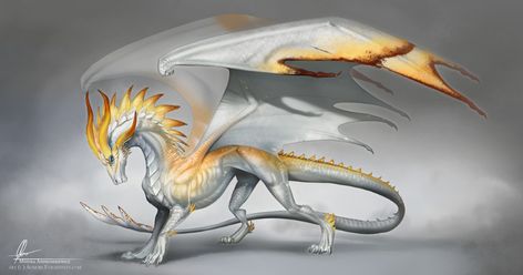 ArtStation - Dragon designs, Monika Andruszkiewicz Cool Dragons, Mythical Animal, Fantasy Beasts, Dragon Pictures, White Dragon, Fantasy Creatures Art, Dragon Artwork, Mythical Creatures Art, Dragon Drawing