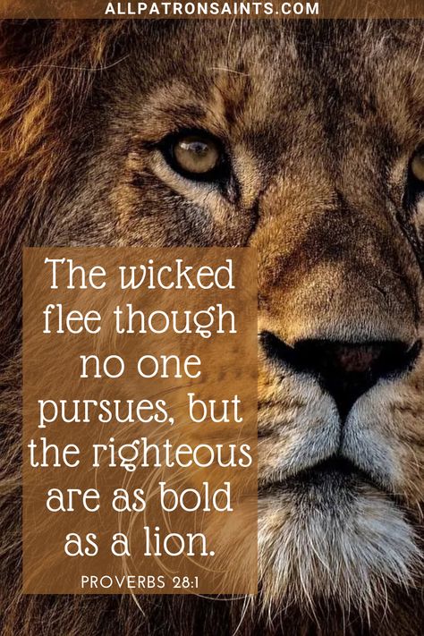 The wicked flee when no man pursueth: but the righteous are bold as a lion. Lion Scripture Quotes, The Righteous Are As Bold As A Lion, Lion Bible Verse, Bold As A Lion, Proverbs 28, Spiritual Warfare Prayers, Bible Study Verses, Daily Reminders, Lion Of Judah