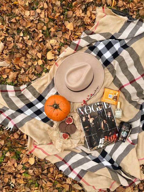 Autumn picnic Autumn Birthday Photoshoot, Fall Lifestyle, Autumn Picnic, Picnic Time, Fall Birthday, Autumn Activities, Fall Wallpaper, Birthday Photoshoot, Autumn Photography