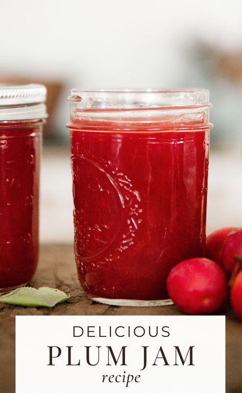 Hoping to make plum jam? You’re in luck! This is the easiest plum jam recipe…and quite delicious too! #plumjam #jamrecipes #preserves Plum Jam With Pectin, Healthy Jelly Recipes, Plum Jam Without Pectin, Healthy Jelly, Plum Jam Recipe, Healthy Jam, Jam Without Pectin, Rhubarb Chutney, Plum Jam Recipes