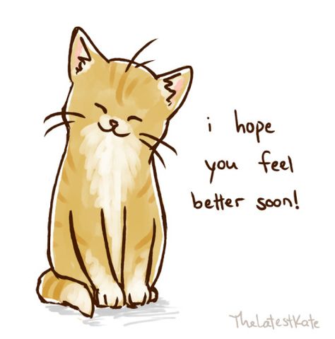 Feel Better Meme, Get Well Soon Cat, Hope Youre Feeling Better, Feel Better Soon, Cute Motivational Quotes, Cute Animal Quotes, Cute Cat Drawing, Feeling Down, Daily Inspiration Quotes