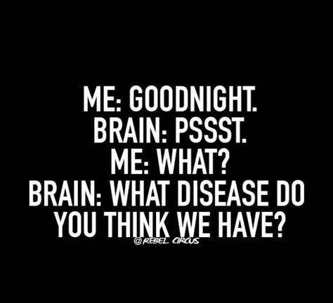 Me: Goodnight. Brain: Pssst. Me: What? Brain: Do you think a coyote or a cougar will try to kill your dogs in the morning when you take them outside. (This is not a joke) Sarkastisk Humor, Quotes Distance, Just Funny, Witty Quotes, Twisted Humor, E Card, Sarcastic Quotes, Bones Funny, The Words