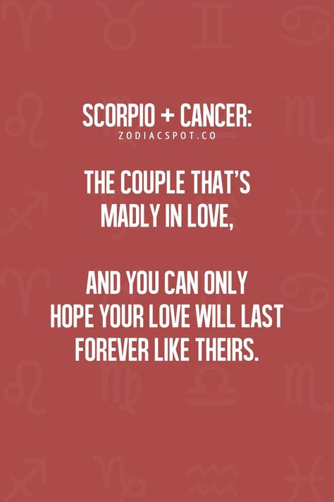 Scorpio Relationships, Scorpio Zodiac Facts, Scorpio Horoscope, Zodiac Sign Traits, Love Horoscope, Scorpio Men, Zodiac Mind, Zodiac Compatibility, Zodiac Signs Horoscope