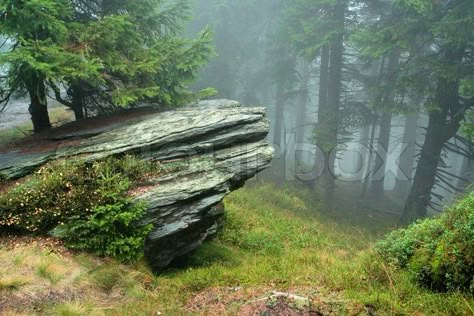 Rock in mist of forest | Stock Photo | Colourbox Natural Cave, Forest Walk, 8bit Art, Foggy Forest, Hobbit House, House Art, Landscape Scenery, Fantasy Art Landscapes, Environment Concept Art