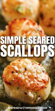 What could be better than bay scallops with melted butter and garlic in delicate white wine sauce? This seared scallops recipe is a special treat; and it makes great party food. #spendwithpennies #searedscallops #recipe #entree #best #butter #garlic #easy #perfect  #panseared Butter Wine Sauce, Best Scallop Recipe, Bay Scallop Recipes, Seared Scallops Recipe, Shrimp And Scallop Recipes, Easy Scallop Recipes, Sauteed Scallops, Frozen Scallops, Bay Scallops