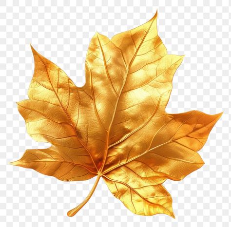 Fall Leaves Png, Icon Transparent, Leaf Png, Yellow Leaf, Golden Autumn, Leaf Plant, Plant Tree, Gold Tree, Art Painting Gallery