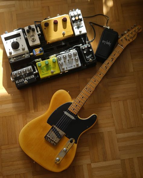 The Rig Snap (@therigsnap) • fotos e vídeos do Instagram Pedalboard Ideas, Music Therapist, Guitar Rig, Pedal Board, Stringed Instruments, Guitar Gear, Guitar Stuff, Music Aesthetic, Guitar Pedals