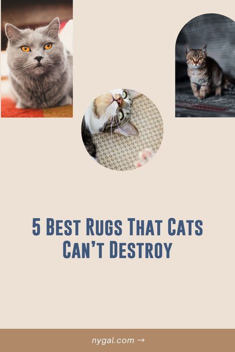 Just like dogs, cats make wonderful pets for humans and are utterly adorable. Unfortunately, these cuties can’t control their innate propensity to claw anything that comes in their path, even rugs.We can relate to your feelings because we’ve been through the same. The good thing is there are rugs in the market that cats can’t destroy. So, rather than getting upset, try your hand at one or all of the varieties listed below. Cat Proof Rug, Best Rugs For Cats, Best Rugs, Pet Area, Cat Proofing, Indoor Carpet, Sheepskin Rug, Cat Friendly, Cool Rugs