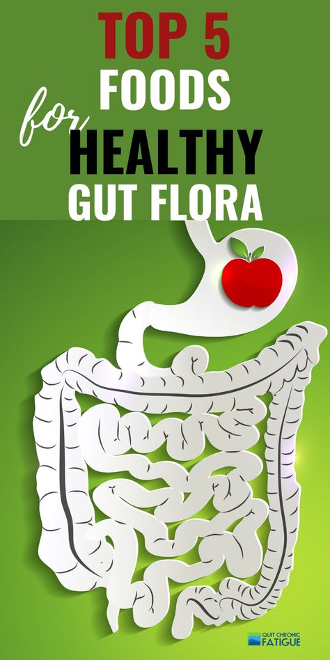 Foods For Healthy Gut, Food For Kidney Health, Heal Leaky Gut, Gut Health Diet, Foods Healthy, Intestinal Health, Vibrant Fashion, Gut Flora, Flora Intestinal