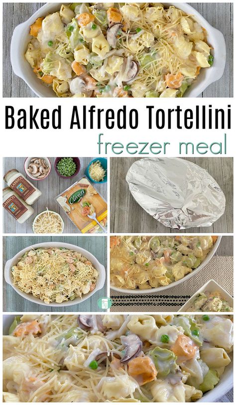 Oh so easy pasta freezer meal! This baked Alfredo tortellini can be made with peas and mushrooms or bacon or chicken and pesto or a variety of other options. #freezermeals101 #pasta #tortellini #freezercooking Baked Tortellini Freezer Meal, Tortellini Recipes Freezer Meal, Freezer Meal Tortellini, Ravioli Freezer Meal, Chicken Pesto Alfredo Tortellini, Freezer Meal Pasta, Premade Dinners Freezer Cooking, Pasta Bake Freezer Meal, Freezer Alfredo Bake