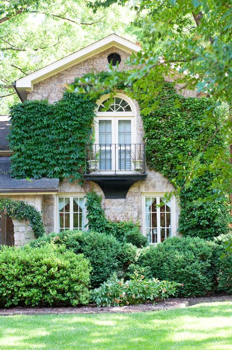 House With Ivy Exterior, Ivy House Exterior, Ivy Growing On House, Vines Growing On House, Vine Covered House, Climbing Ivy On House, Ivy Covered Cottage, Boston Ivy On House, Houses With Vines