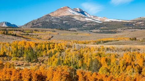 Things to Do Bridgeport California, Alpine Lake, John Muir, Closer To Nature, Family Adventure, Mount Rainier, Travel Usa, Family Vacation, Climbing