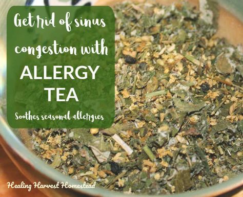 Tea For Runny Nose, Herbal Remedies For Sinus Infection, Herbal Tea For Colds Cough Remedies, Allergy Tea, Homemade Herbal Tea, Thieves Tea, Lung Support, Tea Mixes, Tea Blending