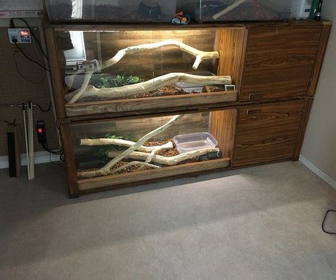 Boa Enclosure Ideas, Boa Constrictor Enclosure, Diy Snake Enclosure, Boa Enclosure, Python Tank, Snake Habitat, Snake Cage, Vivarium Ideas, Red Tail Boa