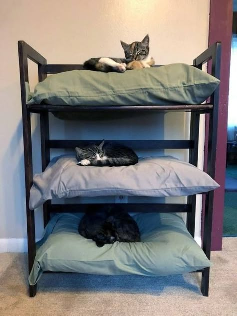 Cat Bunk Beds, Katt Grejer, Cat House Diy, Old Pillows, Cat Enclosure, Cat Things, Cat Trees, Three Cats, Cat Ideas