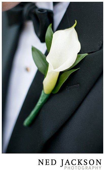 Lilly Bouquet Wedding, Calla Lillies Wedding, Calla Lillies Bouquet, White Calla Lily Bouquet, Lily Boutonniere, Calla Lily Bridal Bouquet, Calla Lily Boutonniere, Lily Bridal Bouquet, Calla Lily Bouquet Wedding