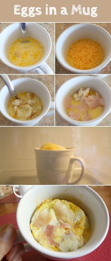 Eggs in a Mug | Recipe QUICK BREAKFAST TO TAKE ON THE GO • FOR KIDS • COLLEGE • BACK TO SCHOOL • Egg In A Mug, Eggs In A Mug, Breakfast In A Mug, Microwave Mug Recipes, Mug Food, Mug Meals, Egg Mcmuffin, Eggs And Cheese, Different Types Of Food