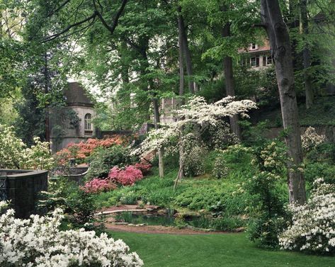 Winterthur Gardens, Museum Garden, Garden Library, Garden 2023, Victorian Style House, Winterthur Museum, Romantic Wedding Venue, Modern Wedding Venue, The Quarry