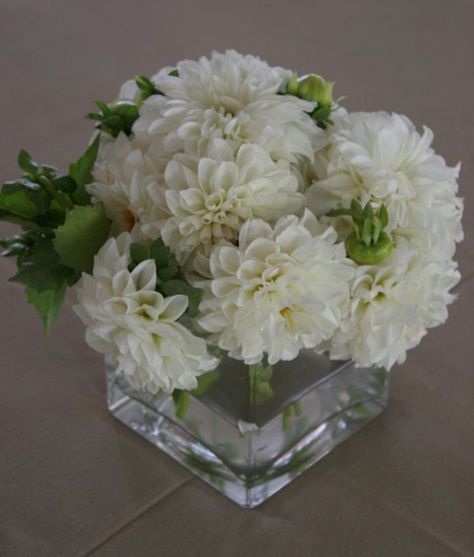 dahlia wedding centerpieces | Dahlia centerpiece Dahlia Wedding Centerpieces, White Dahlia Bouquet, Dahlia Centerpiece Wedding, Dahlia Centerpiece, Chrysanthemum Wedding, Dahlia Wedding, Wedding Flower Ideas, Dahlias Wedding, White Dahlia