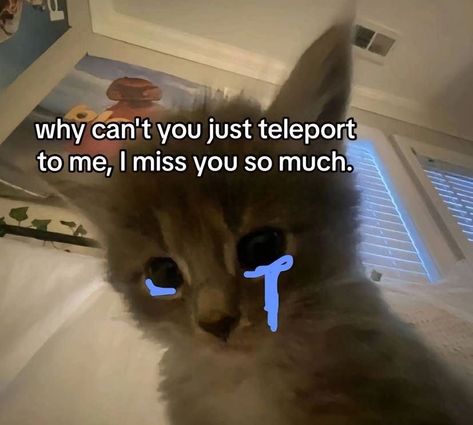 Miya Core, Am I Annoying, I Only See You, Weird Kid, Silly Cats Pictures, I Love My Girlfriend, Love My Boyfriend, Missing You So Much, I Love My Wife