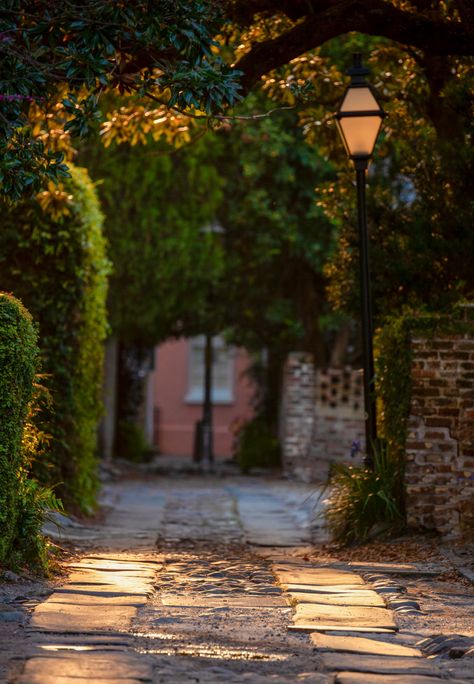 Charleston, SC Studio Background Ideas, Outdoor Background, Advanced Photography, Photoshop Backgrounds Backdrops, Nature Background Images, Afternoon Light, Photography Studio Background, Blurred Background Photography, Desktop Background Pictures