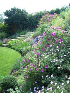 planting for a steep garden bank - Google Search Steep Hillside Landscaping, Backyard Hill Landscaping, Steep Gardens, Rockery Garden, Sloped Backyard Landscaping, Landscaping A Slope, Landscaping On A Hill, Hillside Garden, Tiered Garden