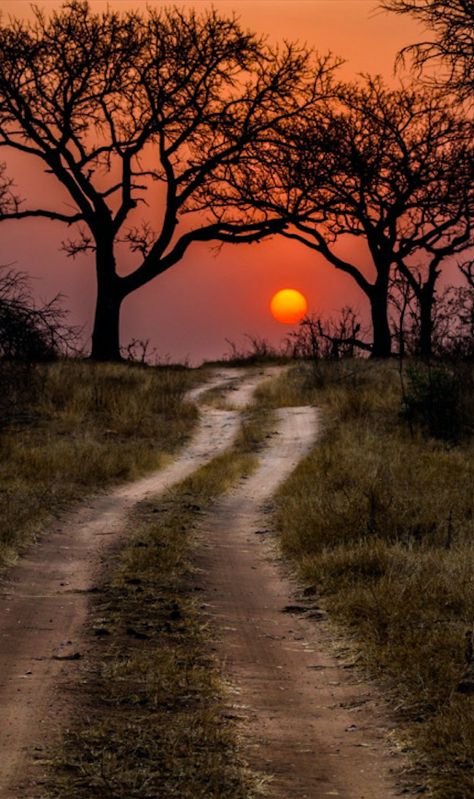 Justice Quotes, Kruger National Park, Dirt Road, Alam Yang Indah, Sunset Beach, Africa Travel, Beautiful Sunset, Sunrise Sunset, Beautiful World