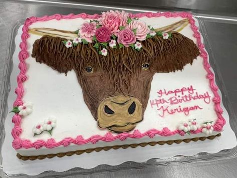 Hiland Cow Birthday Cake, Cow Cookie Cake Ideas, Cow Sheet Cake Ideas, Cow Sheet Cake Birthday, Highland Cow Sheet Cake, Western Sheet Cake, Cow Print Sheet Cake, Cow Sheet Cake, Cow Cakes Birthday Girl