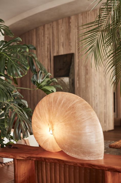 This vintage shell lamp calls on oceanside themes, reimaging natural occurrences into a refined designed frequency. xk #kellywearstler #domino Vintage Shell Lamp, Shell Interior Design, Ocean Interior Design, Sea Shell Lamp, Nature Lamp, Shell Lighting, California Interiors, Shells Home Decor, Santa Monica Proper Hotel